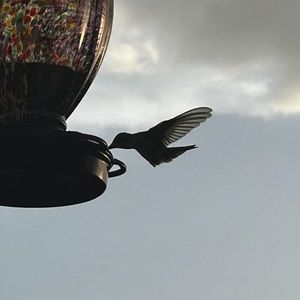 Meet your Posher, Ruth